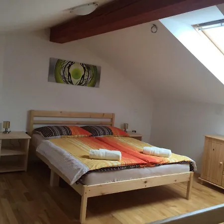 Apartma Ana Dreznica Апартаменты *