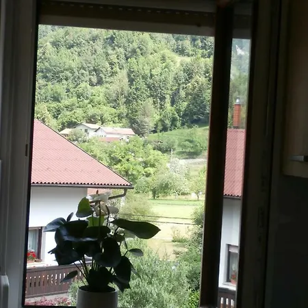Apartma Ana Dreznica Διαμέρισμα