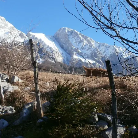 Apartma Ana Dreznica Апартаменты *